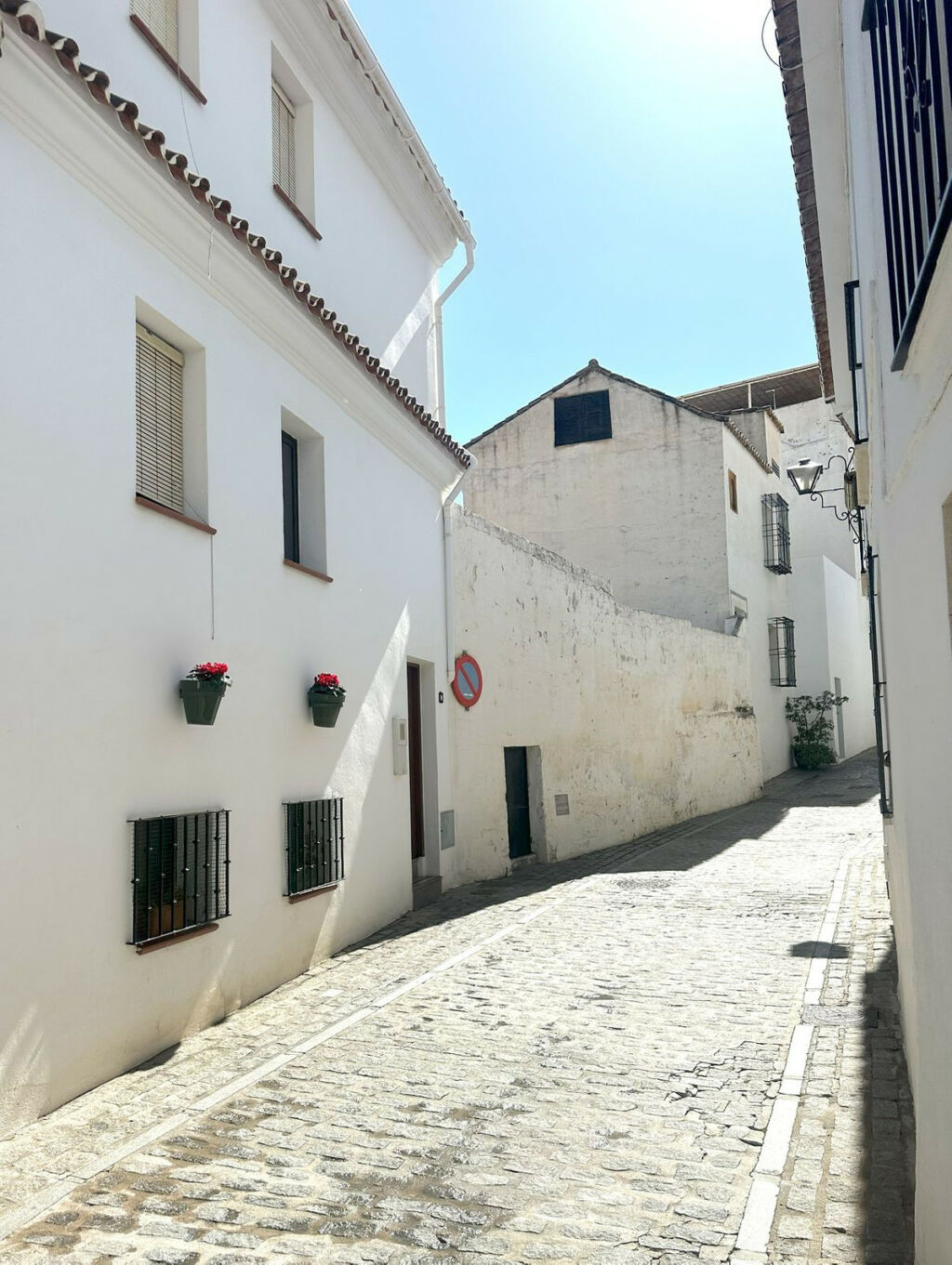 Detached Villa Mijas Málaga