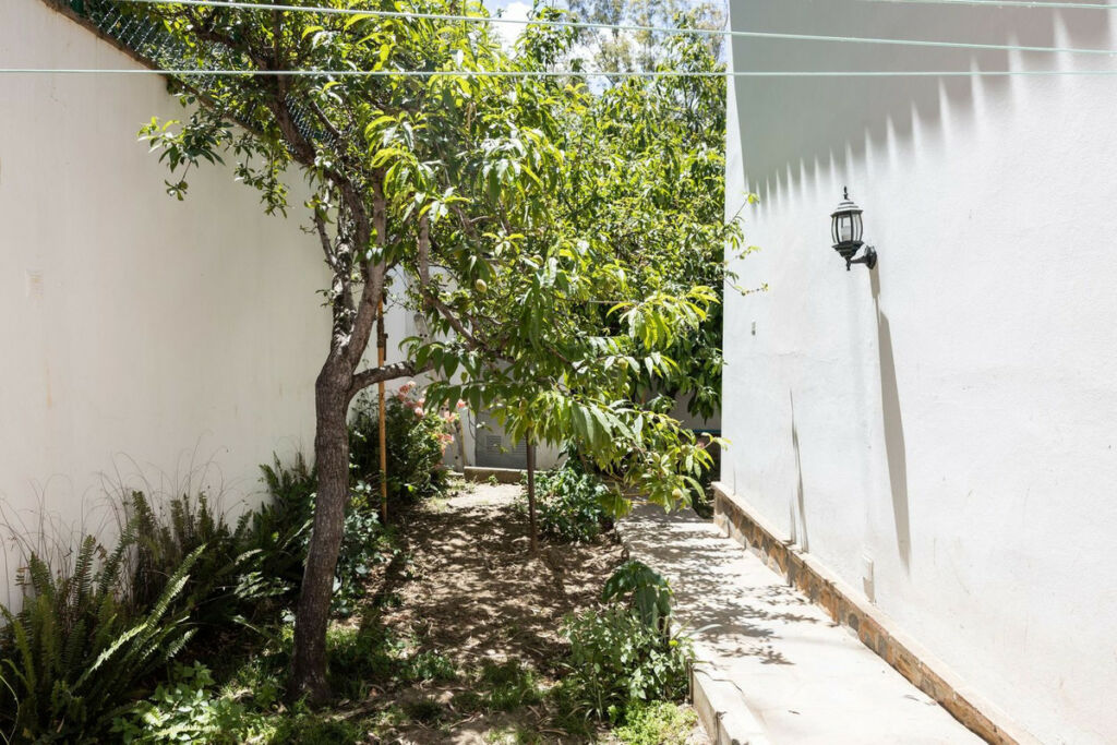 Detached Villa San Pedro de Alcántara Málaga - image 10