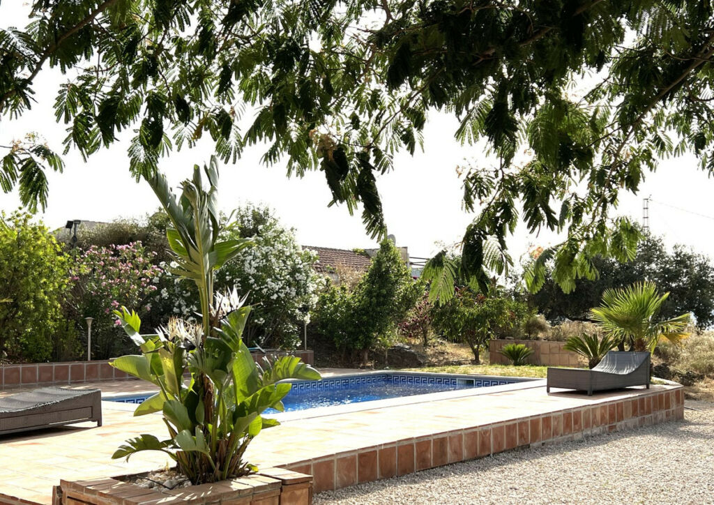 Detached Villa Canillas de Aceituno Málaga - image 10
