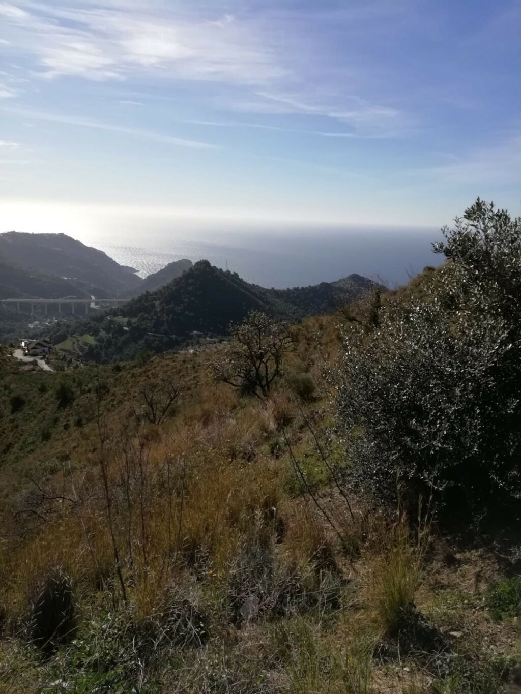 Land Nerja Málaga - image 10