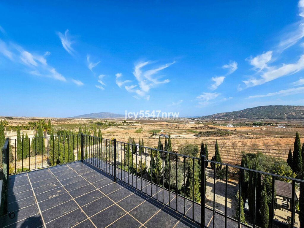 Detached Villa Pinoso Alicante - image 100