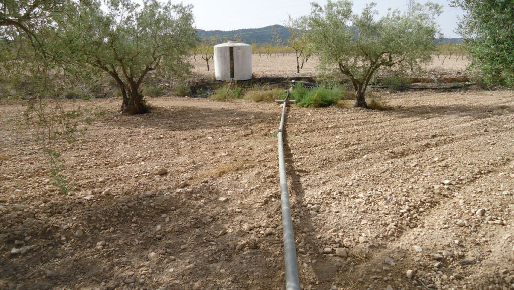 Land Cañada del Trigo Murcia - image 11