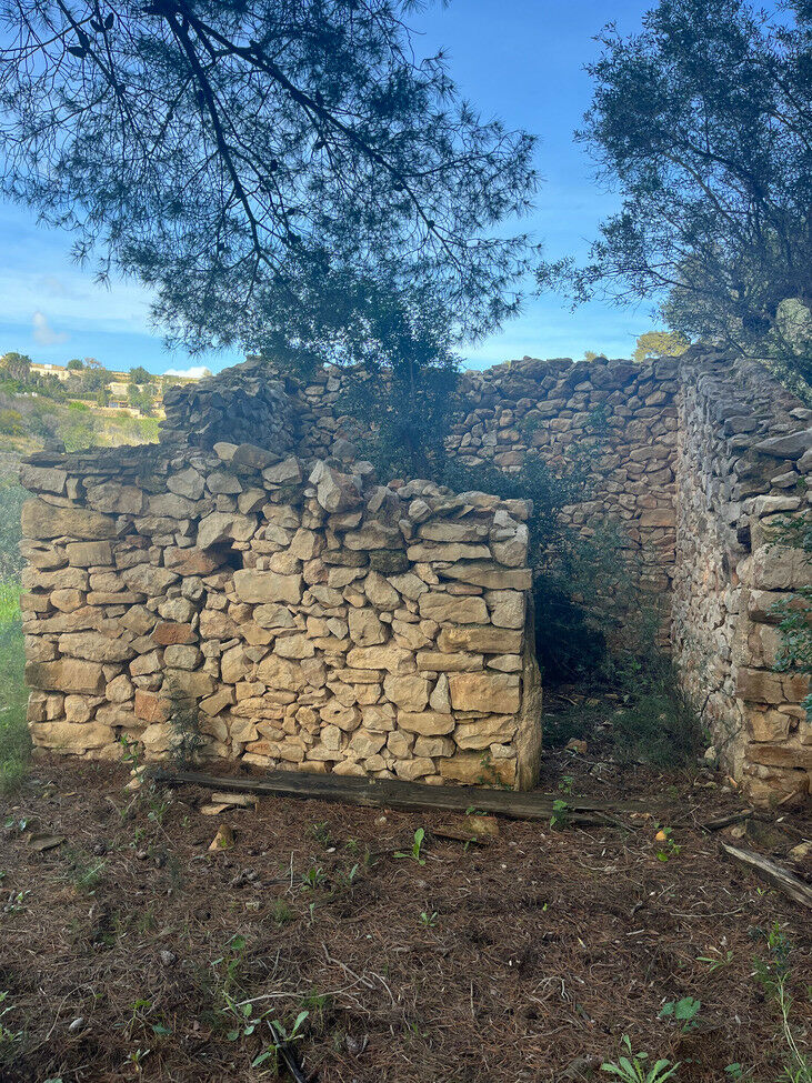 Land Pedramala Alicante - image 11