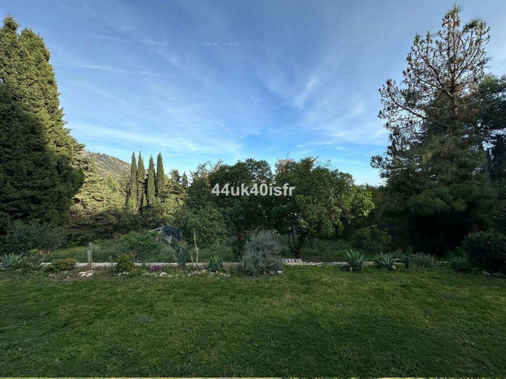 Detached Villa Mijas Málaga - image 15