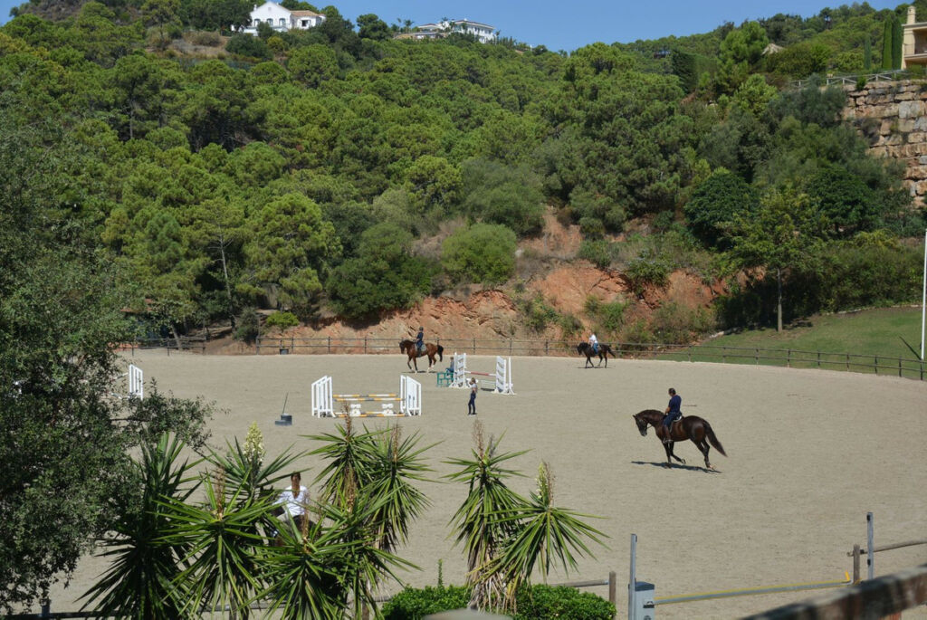 Detached Villa Benahavís Málaga - image 13
