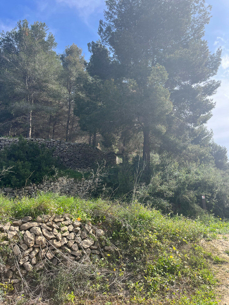 Land Pedramala Alicante - image 9