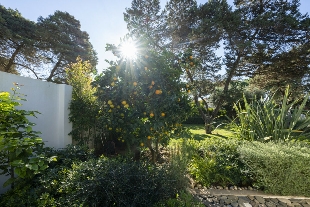 Detached Villa Marbesa Málaga - image 14