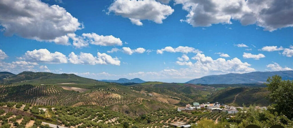 Residential Plot Antequera Málaga - image 13