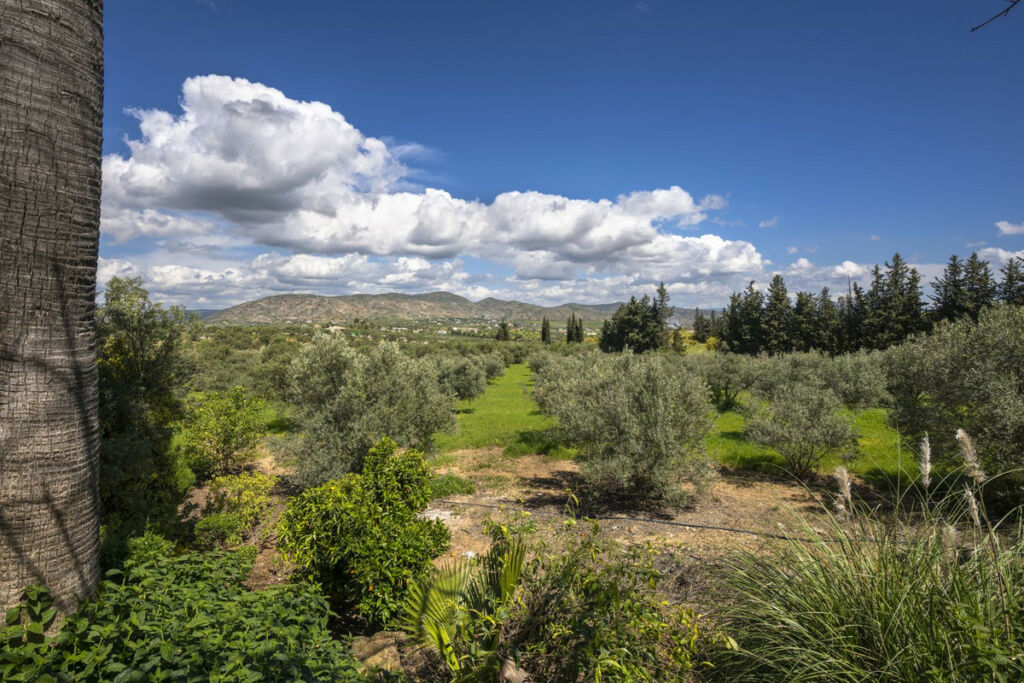 Finca - Cortijo Alhaurín el Grande Málaga - image 17