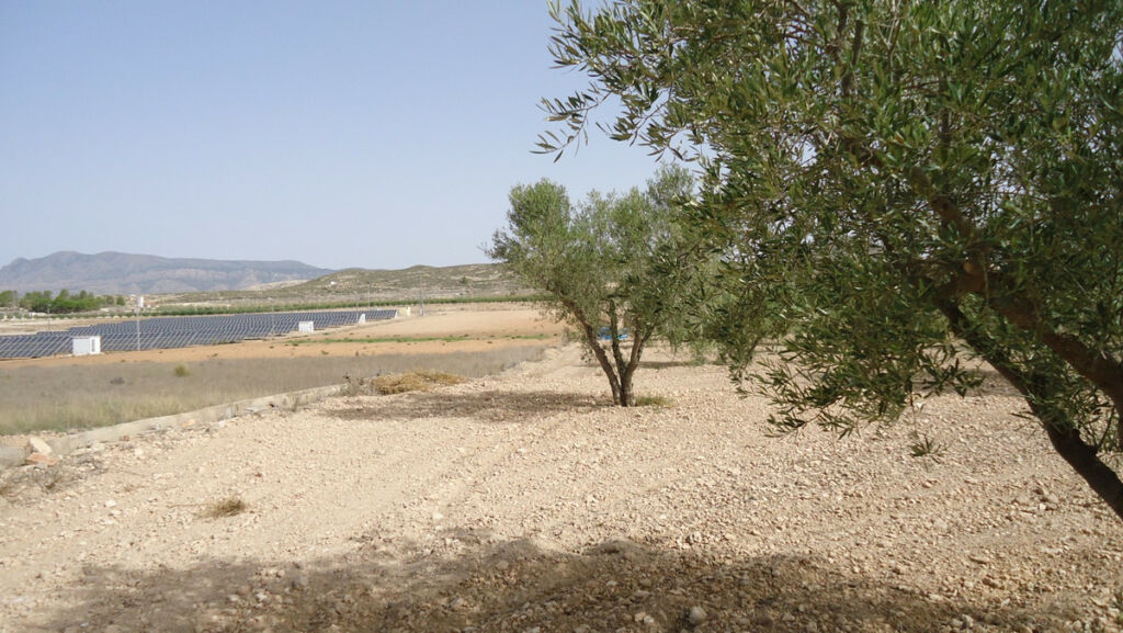 Land Cañada del Trigo Murcia - image 16