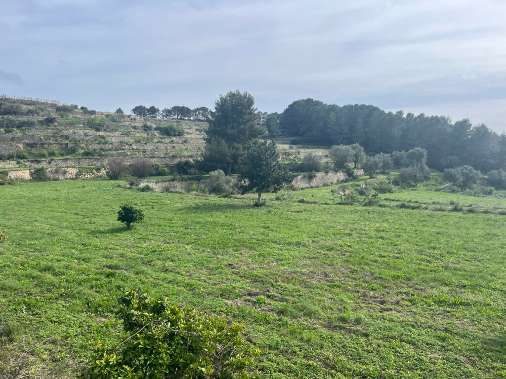 Land Pedramala Alicante - image 12