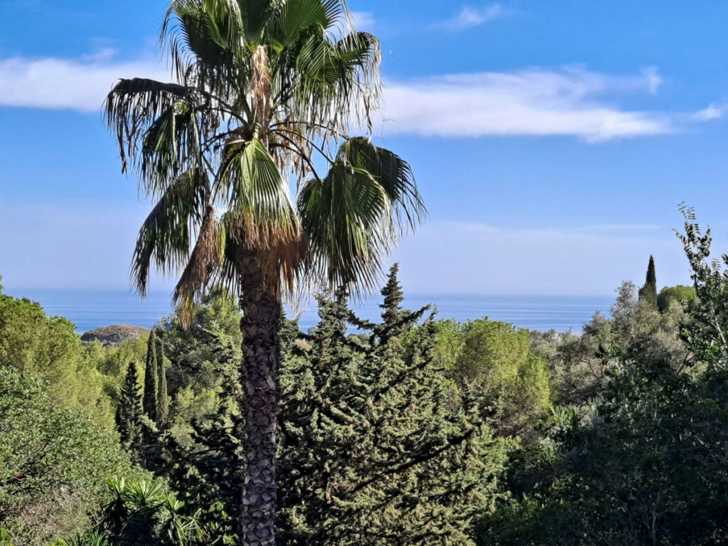 Detached Villa Mijas Málaga - image 15