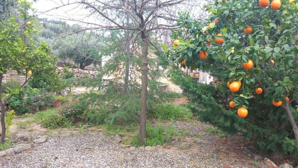 Finca - Cortijo Riogordo Málaga - image 16