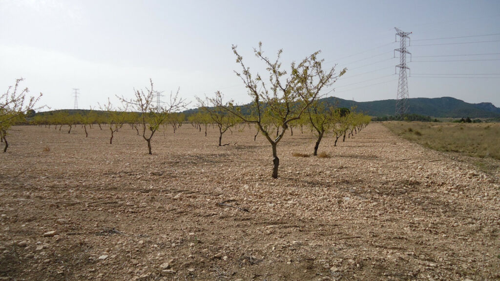 Land Cañada del Trigo Murcia - image 17