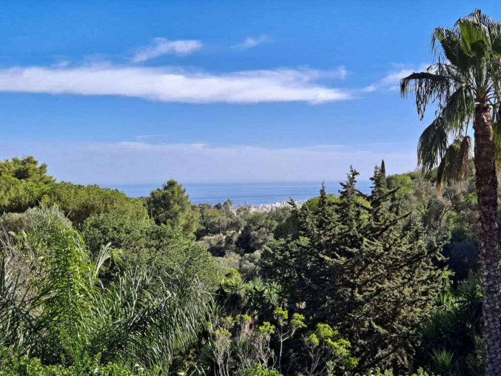 Detached Villa Mijas Málaga - image 16