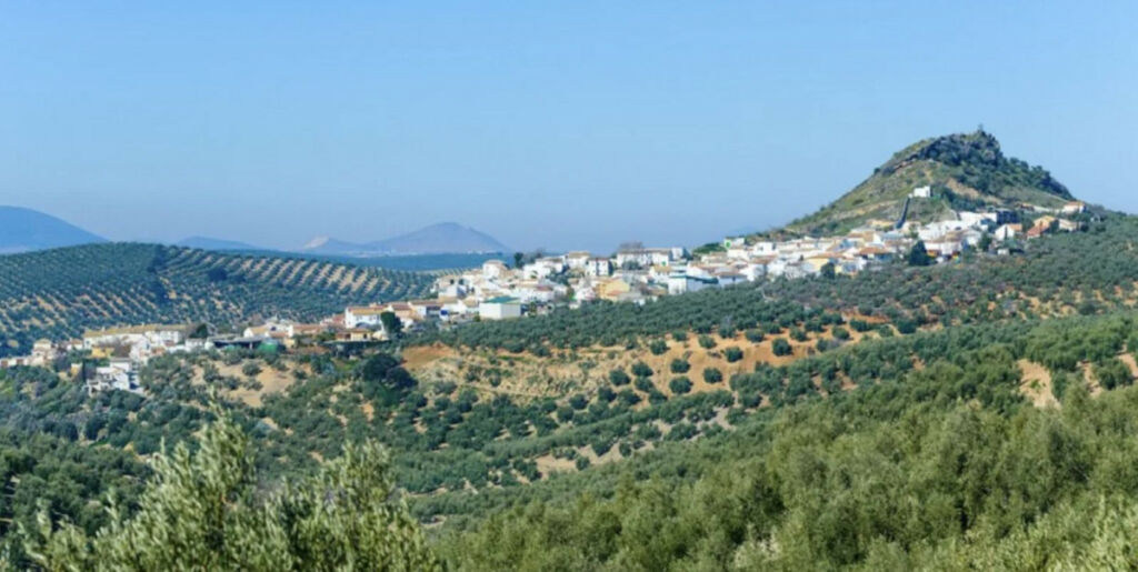 Residential Plot Antequera Málaga - image 15
