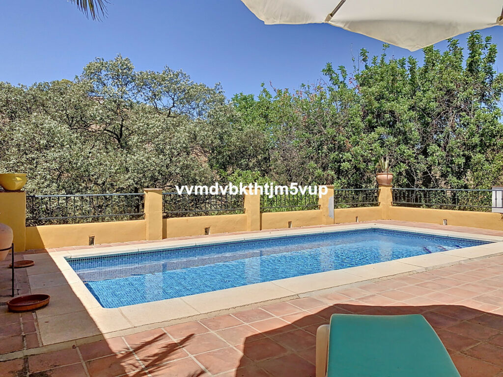 Finca - Cortijo Comares Málaga - image 18