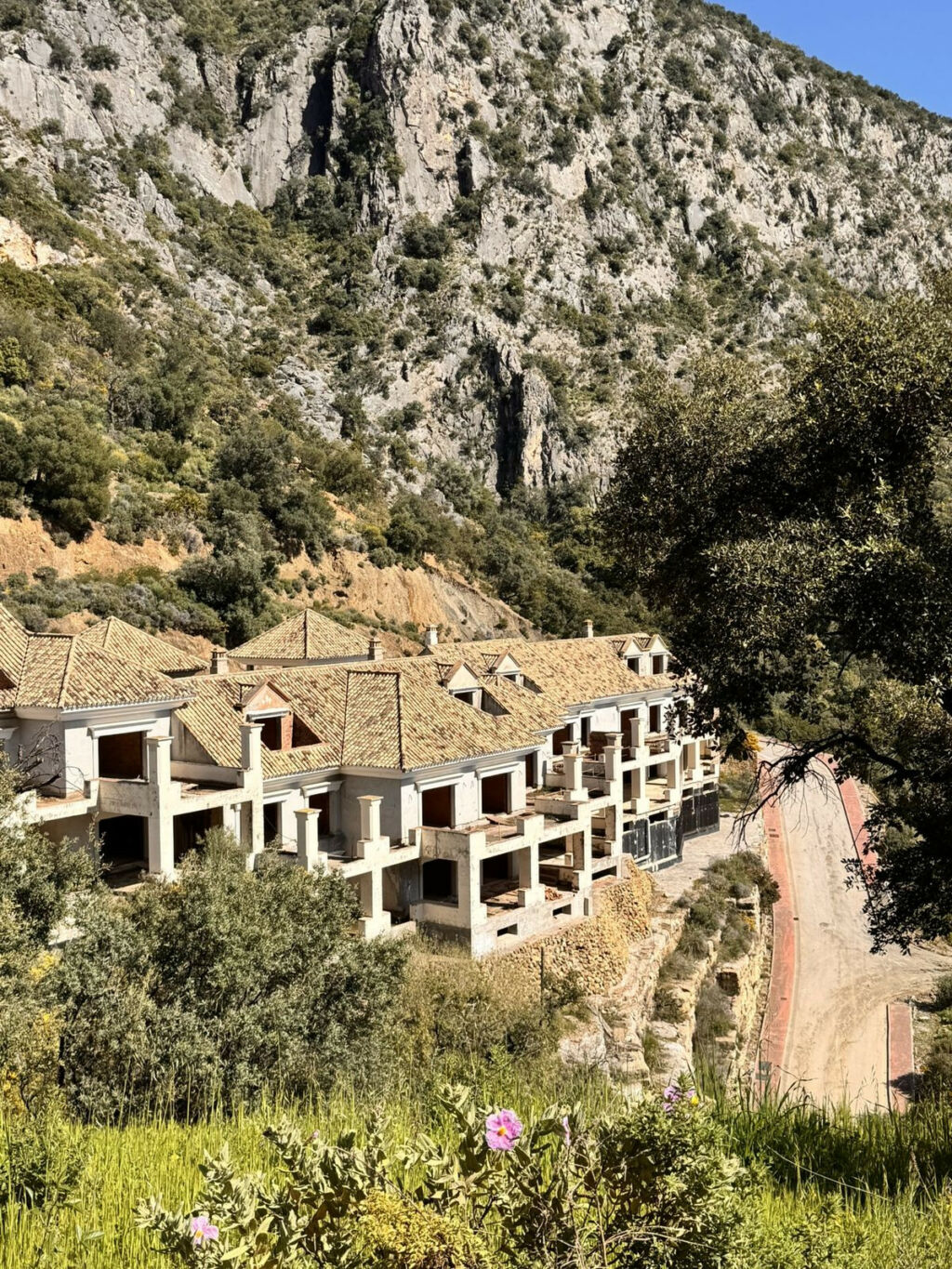 Residential Plot Istán Málaga - image 18