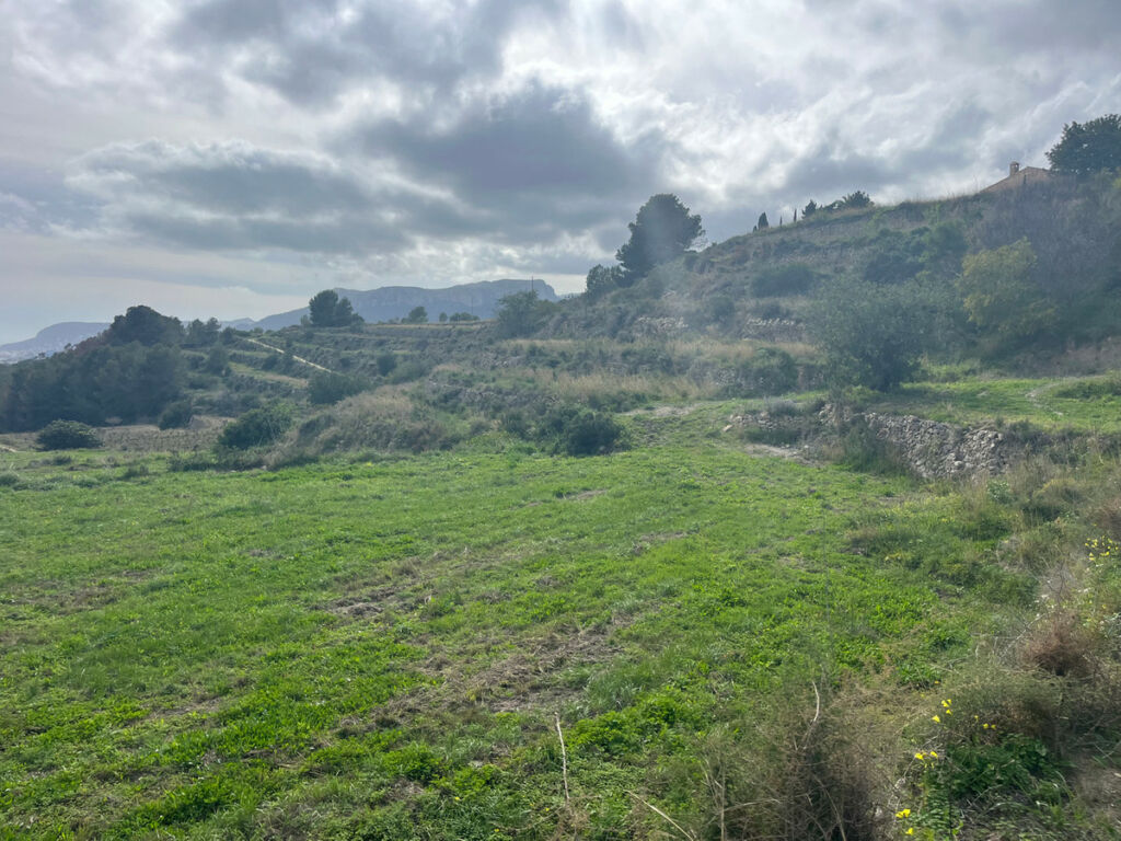Land Pedramala Alicante - image 14