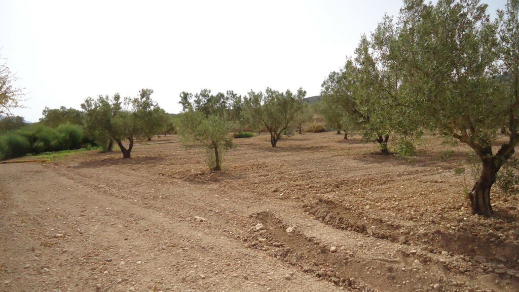 Land Cañada del Trigo Murcia - image 18