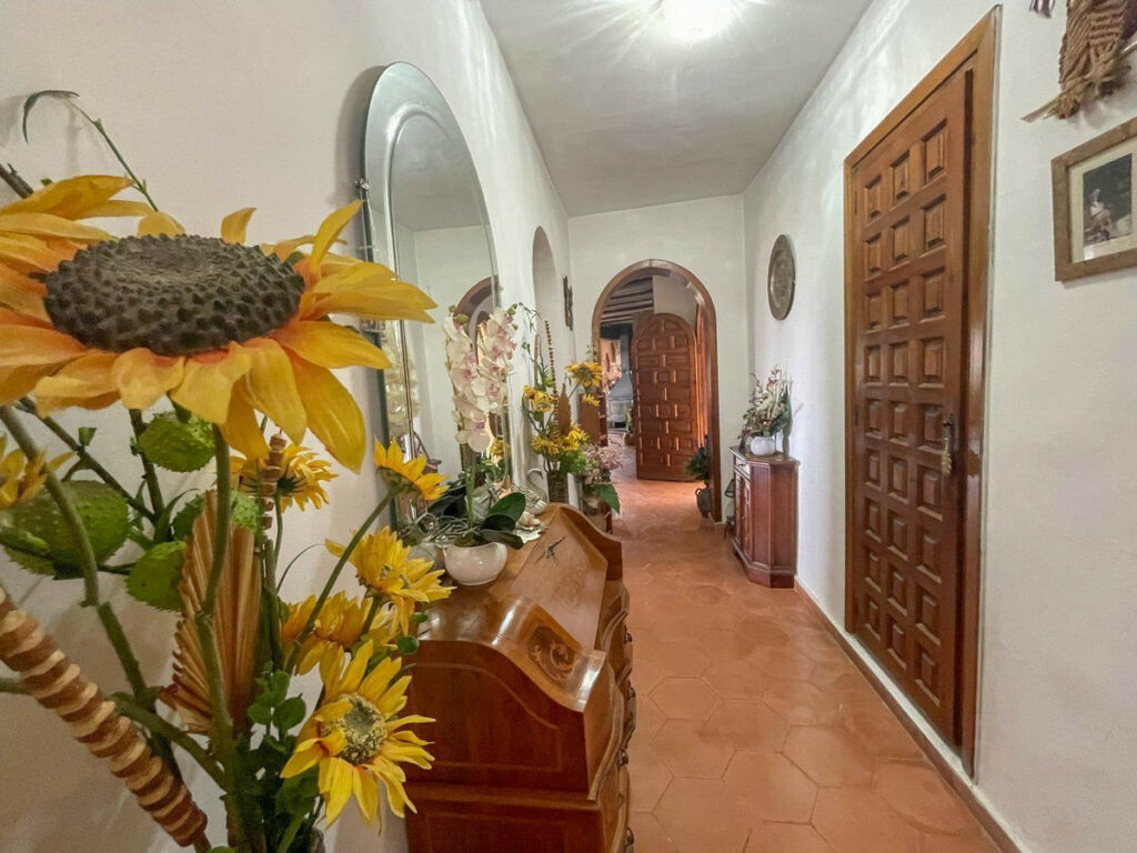 Detached Villa Montemar Alicante - image 18