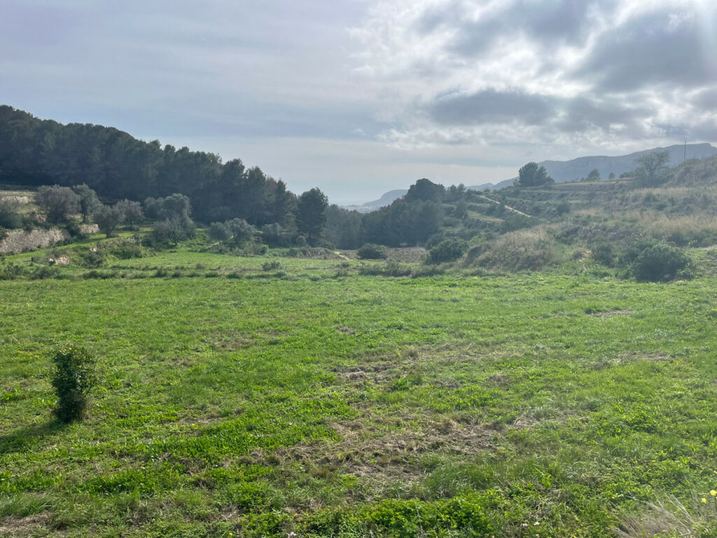 Land Pedramala Alicante - image 15