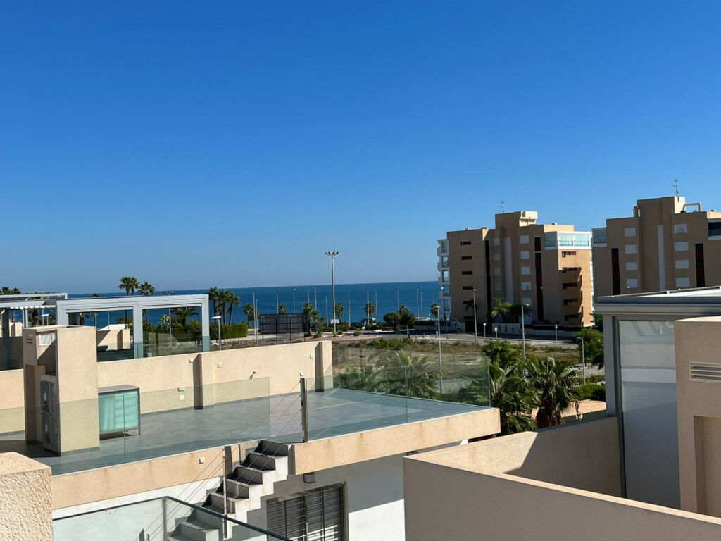 Detached Villa Mil Palmeras Alicante - image 19