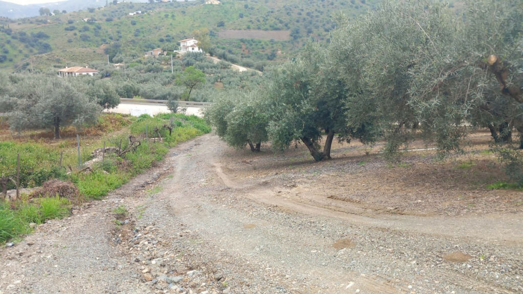 Finca - Cortijo Riogordo Málaga - image 19