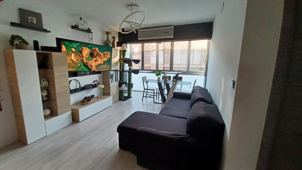 Ground Floor Apartment Torre de la Horadada Alicante - image 19