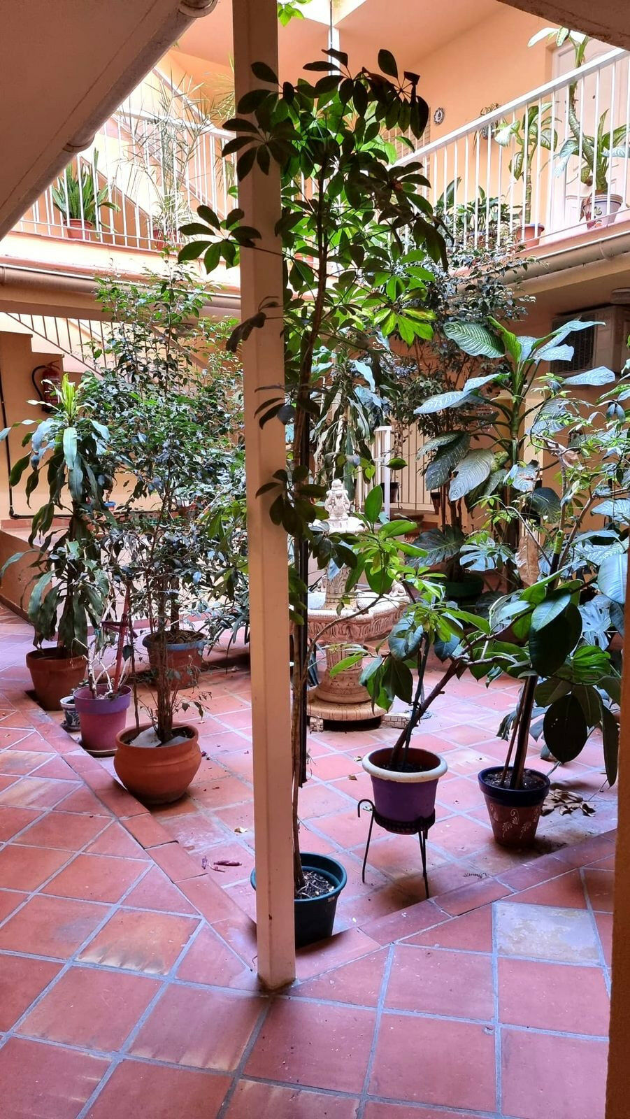 Ground Floor Apartment Málaga Centro Málaga - image 22
