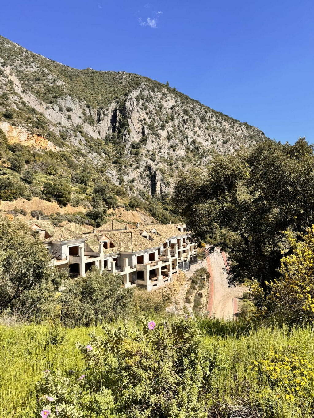 Residential Plot Istán Málaga - image 19