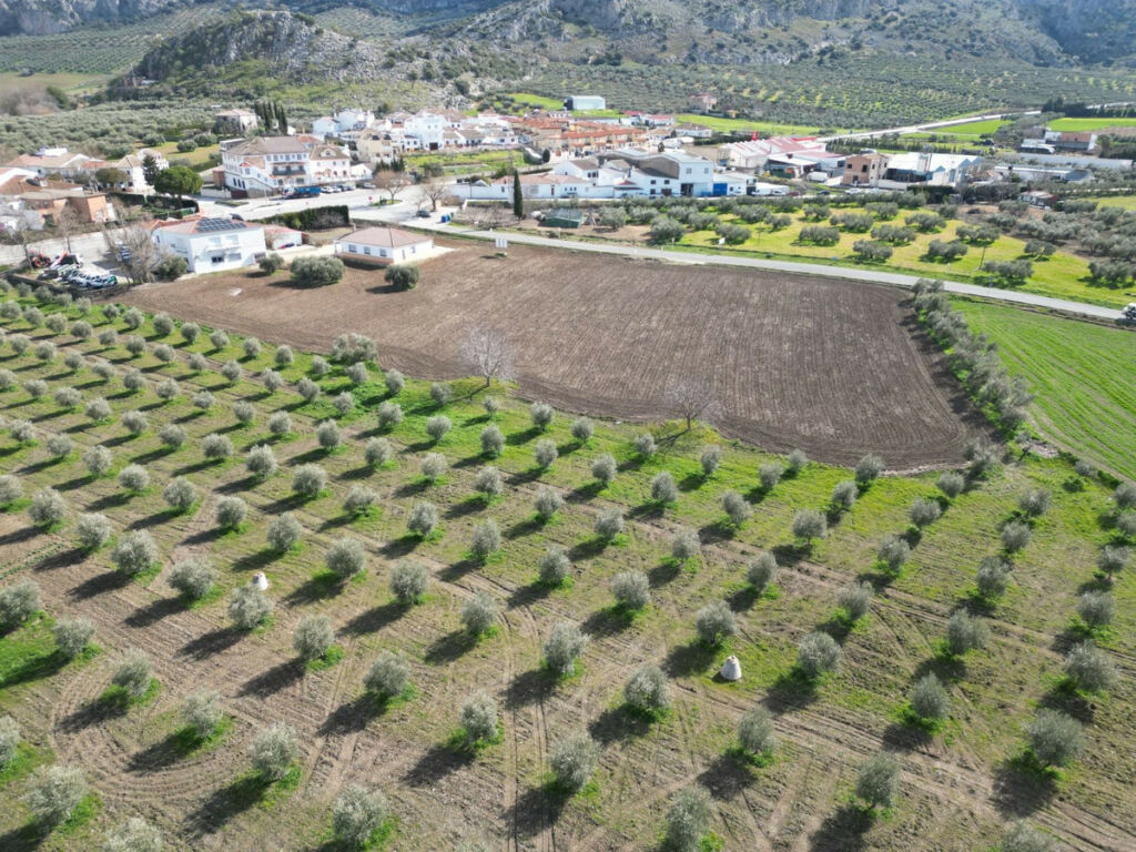 Residential Plot Cuevas del Becerro Málaga - image 2
