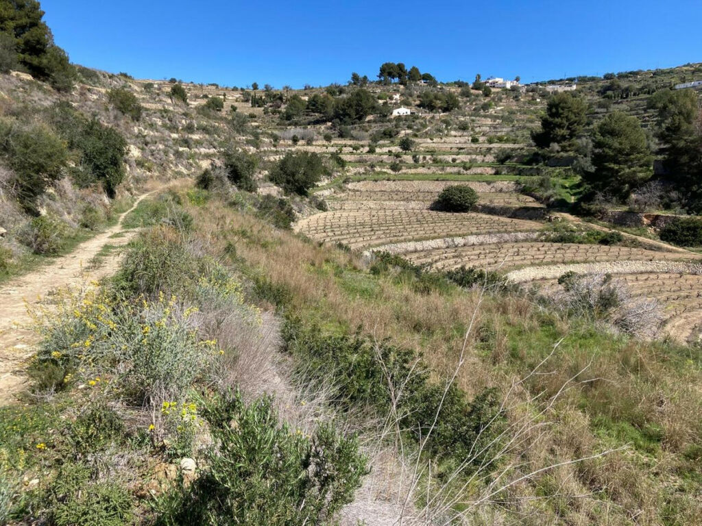 Land Pedramala Alicante - image 2