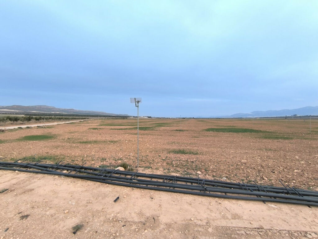 Land Yecla Murcia - image 2
