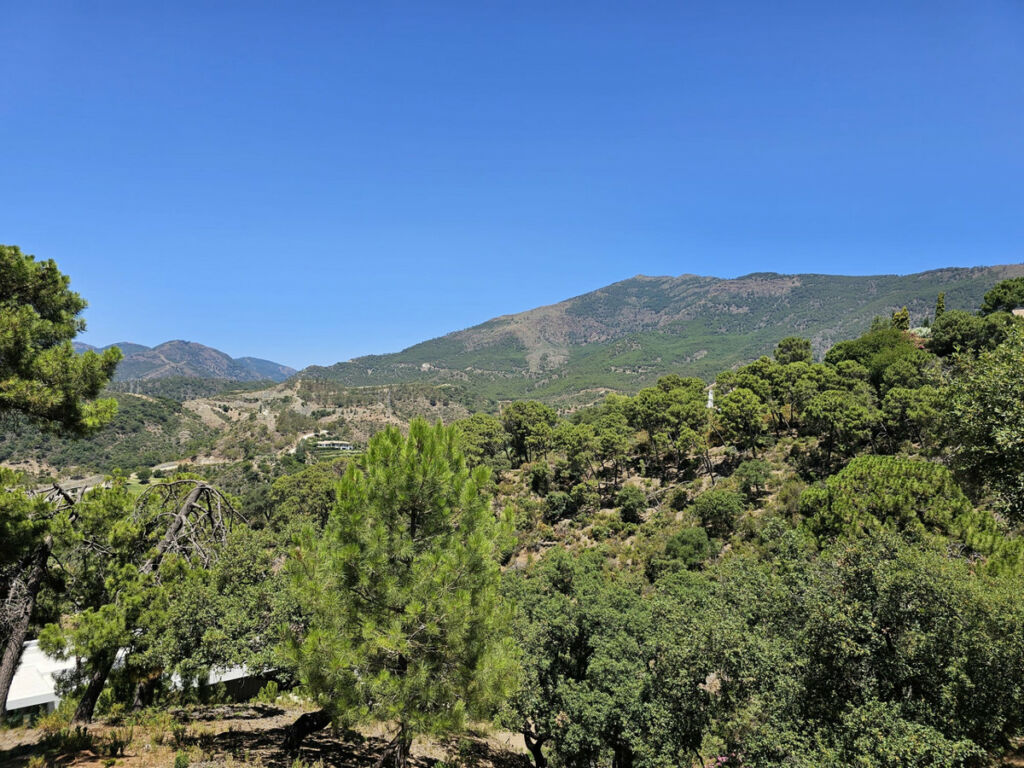 Land La Zagaleta Málaga - image 2