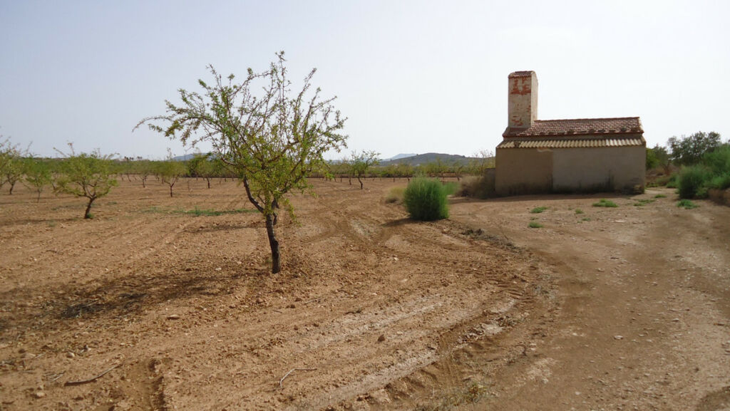 Land Cañada del Trigo Murcia - image 2