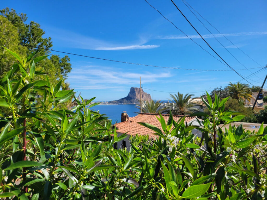 Detached Villa Calpe Alicante - image 5