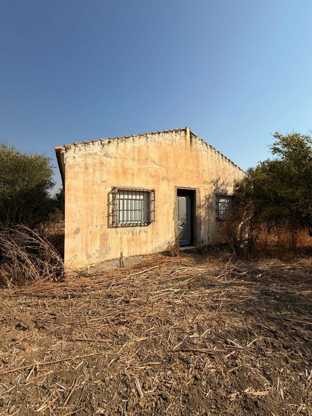 Finca - Cortijo Coín Málaga - image 2