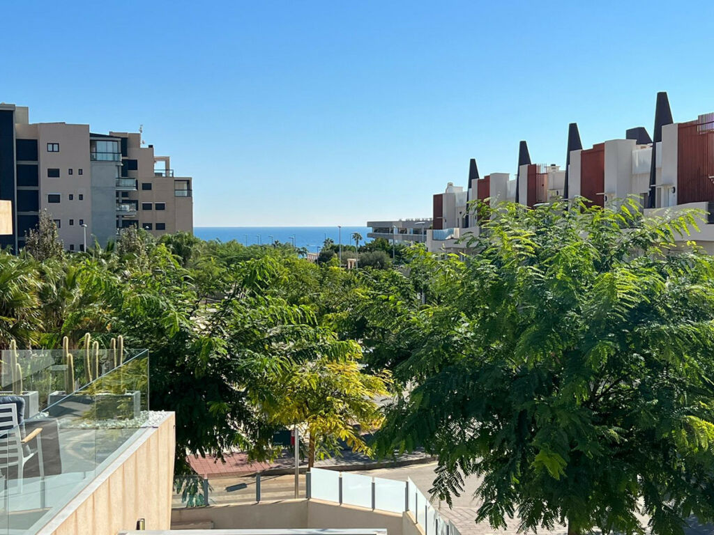 Detached Villa Mil Palmeras Alicante - image 3