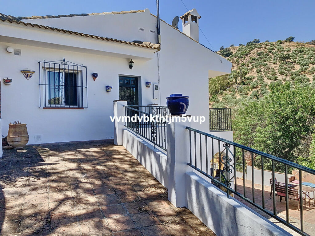 Finca - Cortijo Comares Málaga - image 2