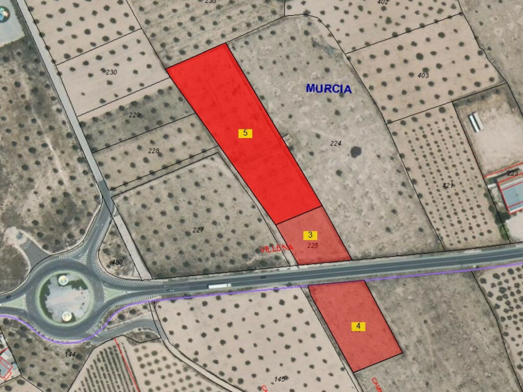 Land Yecla Murcia - image 4