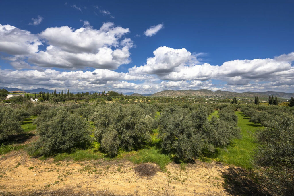 Finca - Cortijo Alhaurín el Grande Málaga - image 20