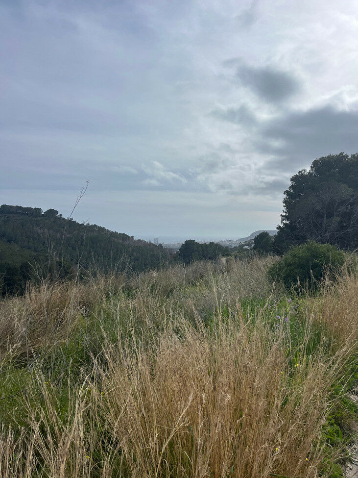 Land Pedramala Alicante - image 16