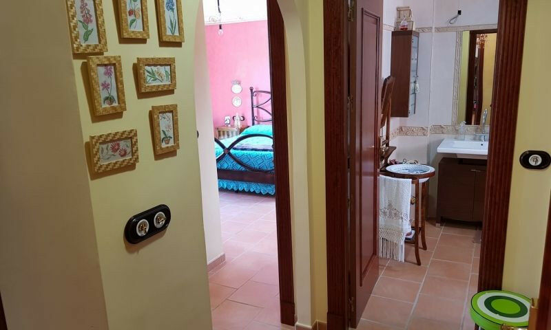 Detached Villa Torrevieja Alicante - image 20