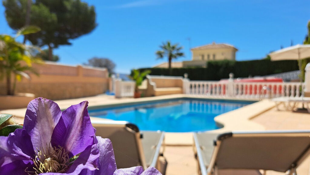Detached Villa Teulada Alicante - image 19