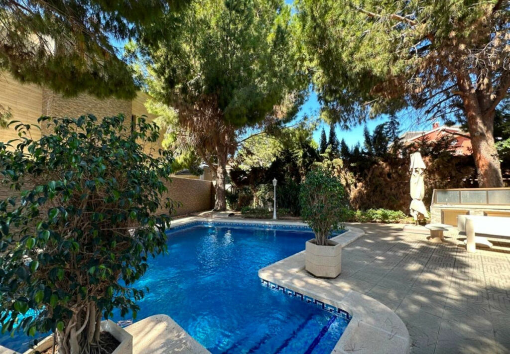 Detached Villa Ciudad Quesada Alicante - image 21