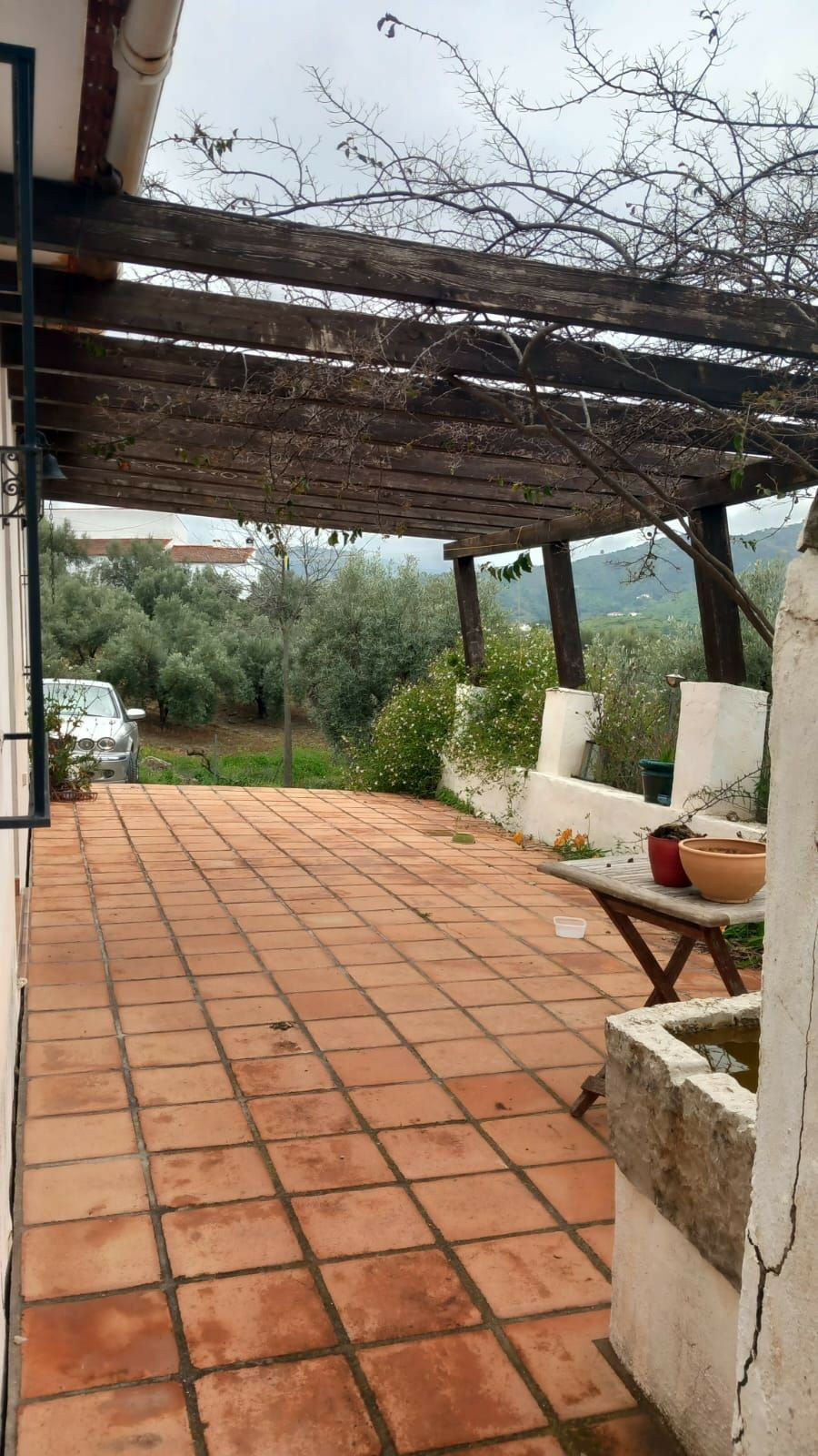Finca - Cortijo Riogordo Málaga - image 21