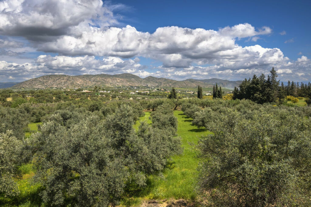 Finca - Cortijo Alhaurín el Grande Málaga - image 21