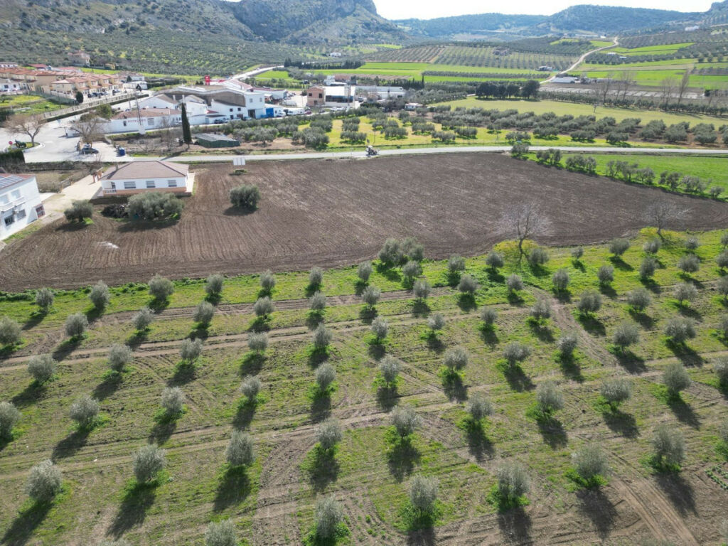 Residential Plot Cuevas del Becerro Málaga - image 21