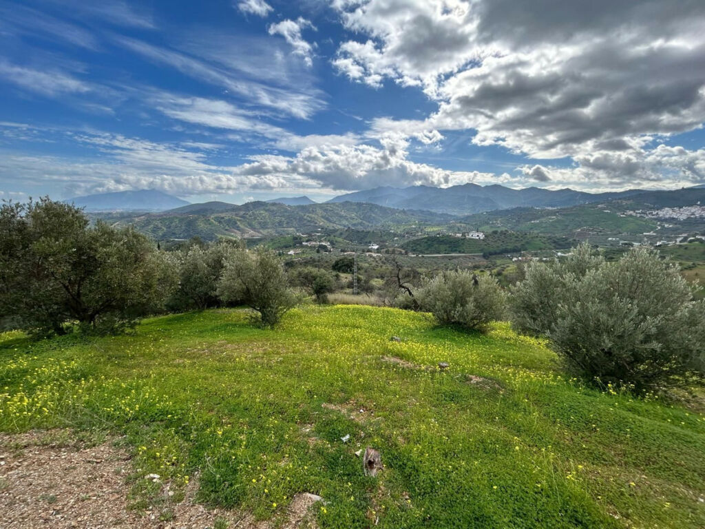 Finca - Cortijo Guaro Málaga - image 18